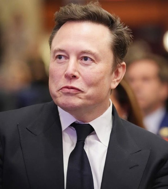 Elon Musk Criticizes USAID's Global Political Influence - Media Wire Express